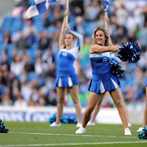 Brighton & Hove Albion vs. Birmingham City (2012-13) - Home Game Highlights: A Look Back at the 29-09-12 Match