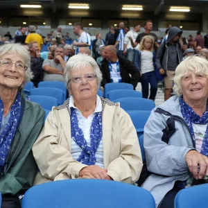 Crowd shots at the Amex - 2013-14