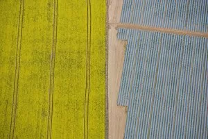 Agriculture in yellow and blue 24597_049