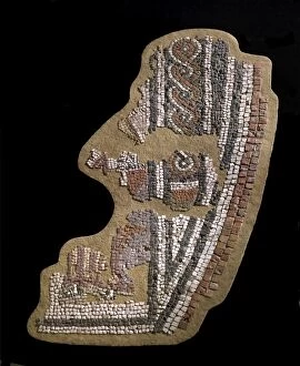 Aldborough Roman Town mosaic N080062