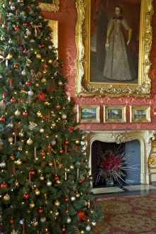 <b class=qtipBold><figcaption>Apsley House N060181</figcaption></b><br>APSLEY HOUSE, London. Tree decorated for Christmas with more decorations in fireplace.<br><em>© Historic England</em> Apsley House N060181
