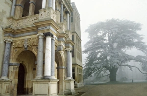 <b class=qtipBold><figcaption>Audley End House M960394</figcaption></b><br>AUDLEY END HOUSE AND GARDENS, Essex. Winter view showing the Jacobean west front entrance and a frost covered Cedar tree.<br><em>© Historic England</em> Audley End House M960394