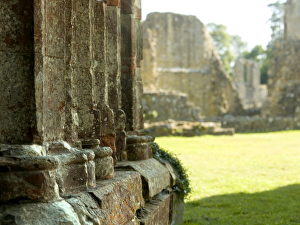 <b class=qtipBold><figcaption>Bayham Old Abbey N000033</figcaption></b><br>BAYHAM OLD ABBEY, Kent. Detail of a crossing pier.<br><em>© Historic England</em> Bayham Old Abbey N000033