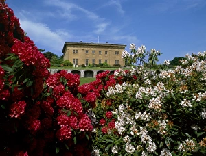 <b class=qtipBold><figcaption>Belsay Hall K020694</figcaption></b><br>BELSAY HALL, CASTLE & GARDENS, Northumberland. View of the hall from the Rhododendron Garden.<br><em>© Historic England</em> Belsay Hall K020694