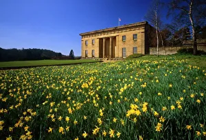 <b class=qtipBold><figcaption>Belsay Hall N090305</figcaption></b><br>BELSAY HALL, CASTLE & GARDENS, Northumberland. Spring time at Belsay, showing the daffodils in full bloom in front of the hall.<br><em>© Historic England</em> Belsay Hall N090305