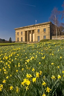 <b class=qtipBold><figcaption>Belsay Hall N090307</figcaption></b><br>BELSAY HALL, CASTLE & GARDENS, Northumberland. Spring time at Belsay, showing the daffodils in full bloom in front of the hall.<br><em>© Historic England</em> Belsay Hall N090307
