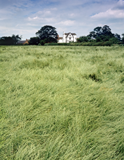 <b class=qtipBold><figcaption>Boscobel House J860363</figcaption></b><br>BOSCOBEL HOUSE, Brewood, Staffordshire. View of house across grass field.<br><em>© Historic England</em> Boscobel House J860363