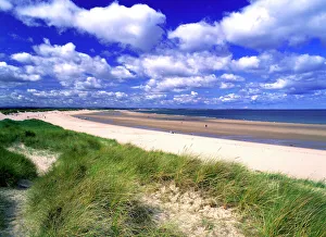 Coastal Landscapes Gallery: Budle Bay K021982