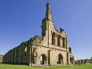 Medieval Architecture Gallery: Byland Abbey N090104