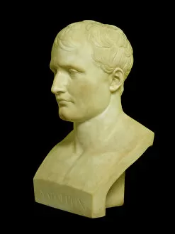 Sculpture and statuary Collection: Canova - Bust of Napoleon N080945
