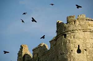 Castles of the South East Gallery: Carisbrooke Castle Collection
