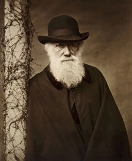 Charles Darwin and Down House Collection: Charles Darwin K980123