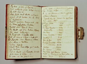 Georgian Gallery: Charles Darwins notebook N020023