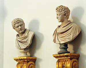 <b class=qtipBold><figcaption>Chiswick House busts K020256</figcaption></b><br>CHISWICK HOUSE, London. View of two of the busts in the Tribunal or Saloon. Statue heads.<br><em>© Historic England</em> Chiswick House busts K020256