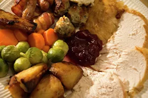 <b class=qtipBold><figcaption>Christmas dinner</figcaption></b><br>Christmas turkey dinner.<br><em>© Historic England</em> Christmas dinner
