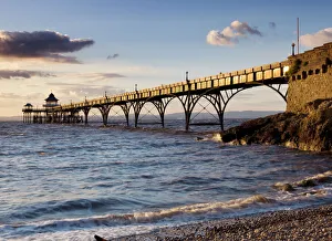 Coastal Landscapes Gallery: Clevedon Pier N071846