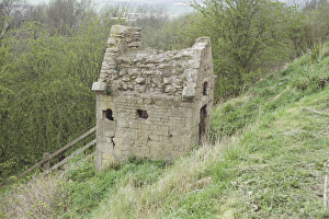 <b class=qtipBold><figcaption>Conduit House</figcaption></b><br>One of four conduit houses along the escarpment which brought water to Bolsover Castle. IoE 79237.<br><em>© Dr Eric Ritchie
Source: Images of England</em> Conduit House