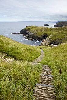 Coastal Landscapes Gallery: Cornish coast N100384