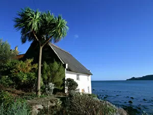 Coastal Landscapes Gallery: Cottage by Runswick Bay K011112