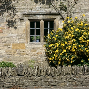 <b class=qtipBold><figcaption>Cottage window K991559</figcaption></b><br>LOWER SLAUGHTER, Cotswolds, Gloucestershire. Detail of cottage showing stone mullioned window.<br><em>© Jon Wyand</em> Cottage window K991559