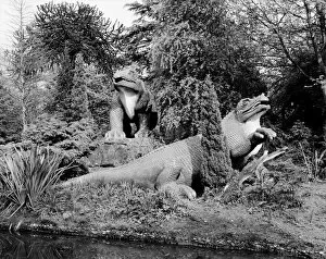1960 to the present day Collection: Crystal Palace Dinosaurs DD004597