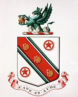Down House paintings Gallery: The Darwin family coat of arms K970213