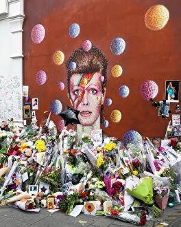 Graphic Collection: David Bowie mural, Brixton DP177779