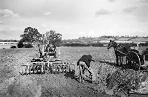 Agricultural History Gallery: Disc harrowing, Lincolnshire a98_09683