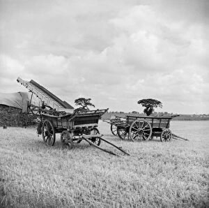 Agricultural History Gallery: Farm wagons, Norfolk a98_15161