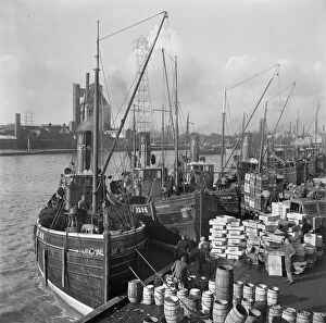 Fishing Collection: Fishing boats, Great Yarmouth a98_10885