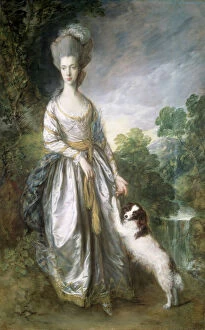 Female portraits Collection: Gainsborough - Lady Brisco J900289