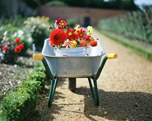 : Seasons Collection