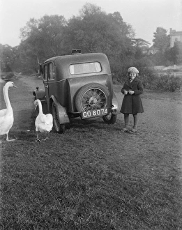 <b class=qtipBold><figcaption>Girl, car and swans EGP_22663_009</figcaption></b><br>A young girl next to a motor car, probably an Austin 7, with two swans. Early Glass Plate Negative Collection. Probably 1930s.<br><em>© Historic England Archive</em> Girl, car and swans EGP_22663_009