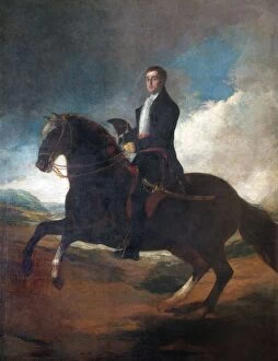 Apsley House paintings Gallery: Goya - Equestrian portrait of the Duke of Wellington N070532