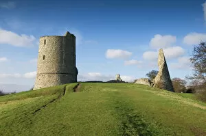 Medieval Architecture Collection: Hadleigh Castle N090070