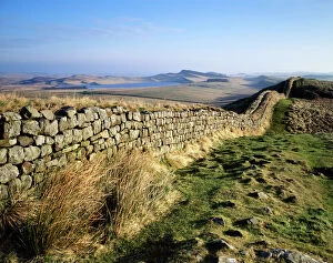 Landscape Collection: Hadrians Wall J080005