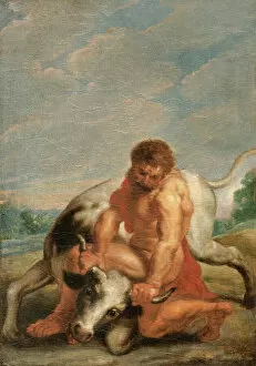 Biblical and mythical scenes Gallery: Hercules Wrestling with Achelous in the form of a Bull N090613