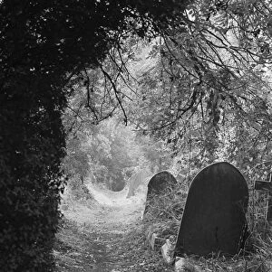 Grave Yard Collection: Highgate Cemetery a074640