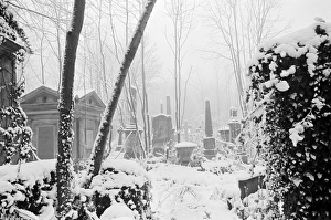 <b class=qtipBold><figcaption>Highgate Cemetery MF001668_29</figcaption></b><br>HIGHGATE CEMETERY, Hampstead, London. Snow covering the West Cemetery. Photographed by John Gay in winter 1982.<br><em>© Historic England</em> Highgate Cemetery MF001668_29