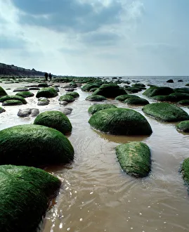 Coastal Landscapes Gallery: Hunstanton Beach K020480