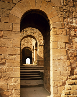 <b class=qtipBold><figcaption>Kenilworth Castle Loggia J900456</figcaption></b><br>KENILWORTH CASTLE, Warwickshire. Tudor loggia / corridor, converted from the Norman forebuilding of the Keep.<br><em>© Historic England</em> Kenilworth Castle Loggia J900456