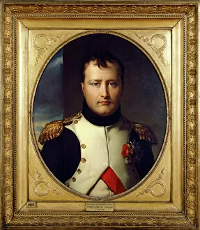 Royal portraits Gallery: Lefevre - Napoleon Bonaparte J040036