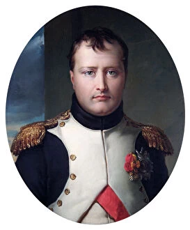 Royal portraits Gallery: Lefevre - Napoleon Bonaparte N070490