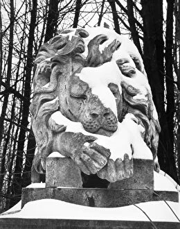 Grave Yard Collection: Lion statue, Highgate Cemetery OP04501