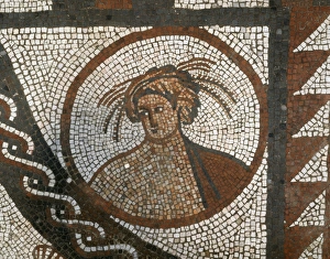 Lullingstone Roman Villa J910063 Lullingstone Roman Villa J910063