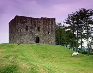<b class=qtipBold><figcaption>Lydford Castle J880437</figcaption></b><br>LYDFORD CASTLE, Devon. The 13th century tower keep with horse grazing.<br><em>© Historic England</em> Lydford Castle J880437