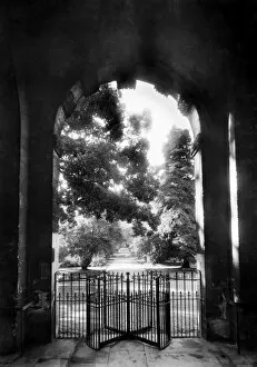 Oxford Collection: Main gate, Botanic Garden, Oxford CC50_00369
