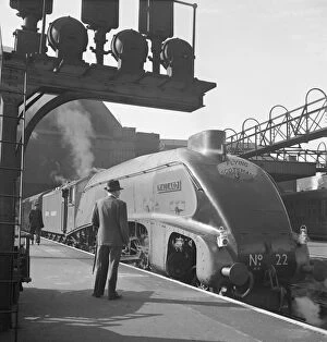 Mallard steam train, Flying Scotsman service AA062835