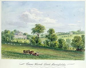 Kenwood House Gallery: Kenwood House gardens Collection