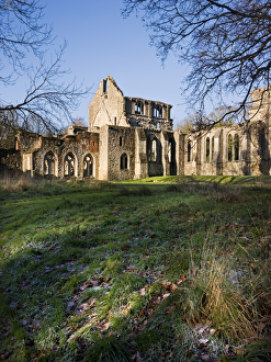 <b class=qtipBold><figcaption>Netley Abbey N080678</figcaption></b><br>NETLEY ABBEY, Hampshire. General view of Netley Abbey showing the South Transept and Nave.<br><em>© Historic England</em> Netley Abbey N080678